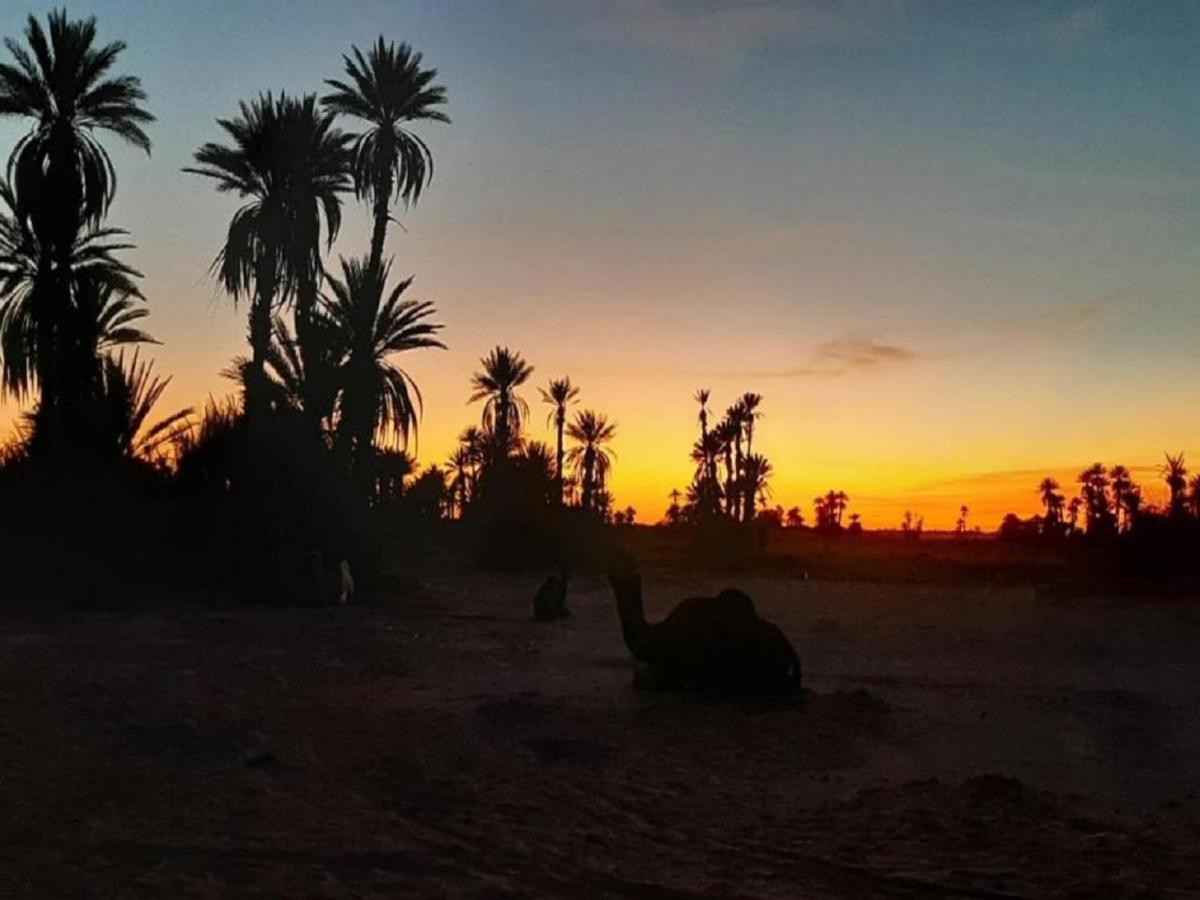 M'Hamid Desert Camp Tours エクステリア 写真
